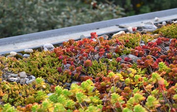 the cost of Cowpen green roof installation